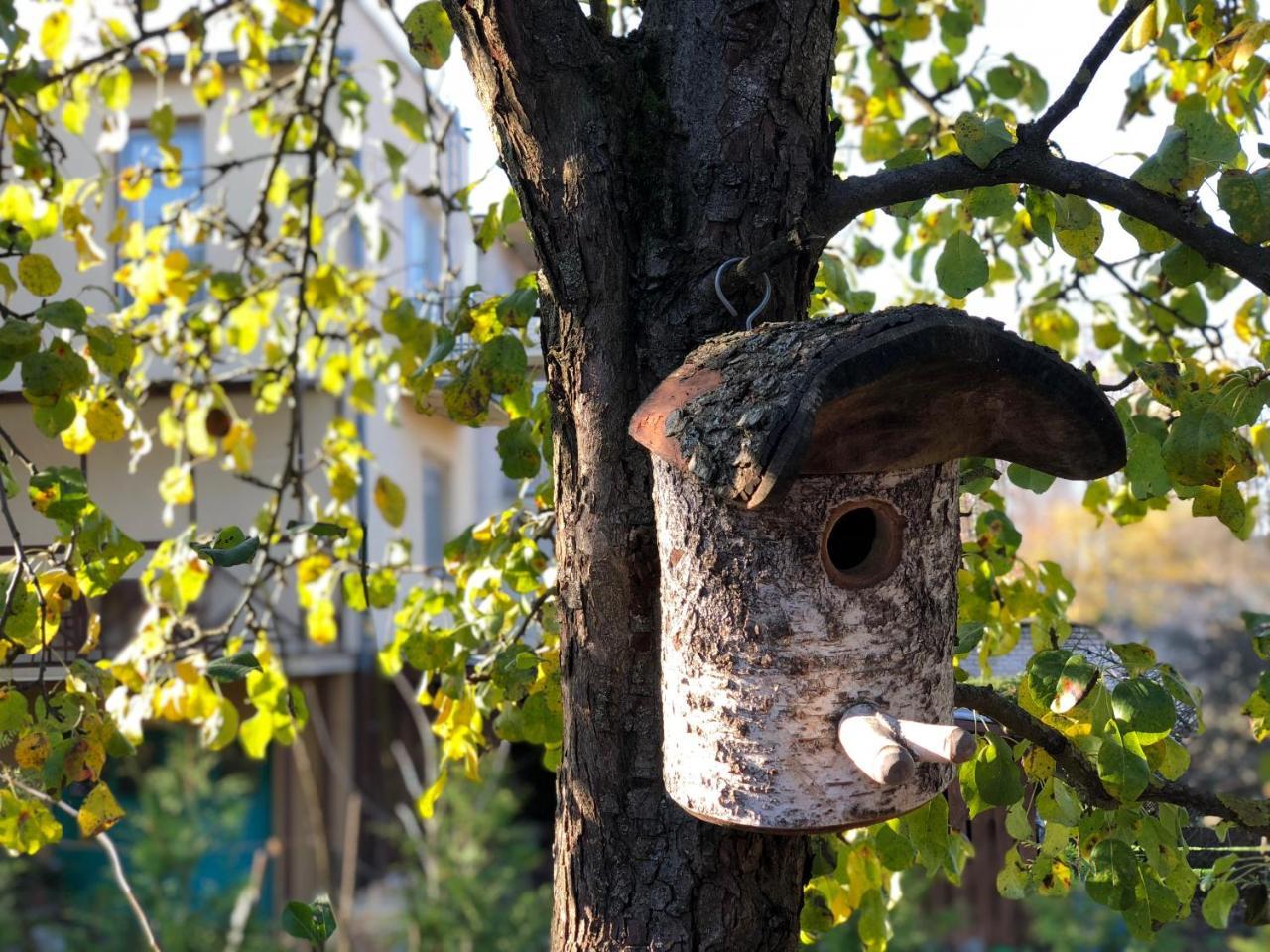 Guest House Mr Fox Друскининкай Экстерьер фото